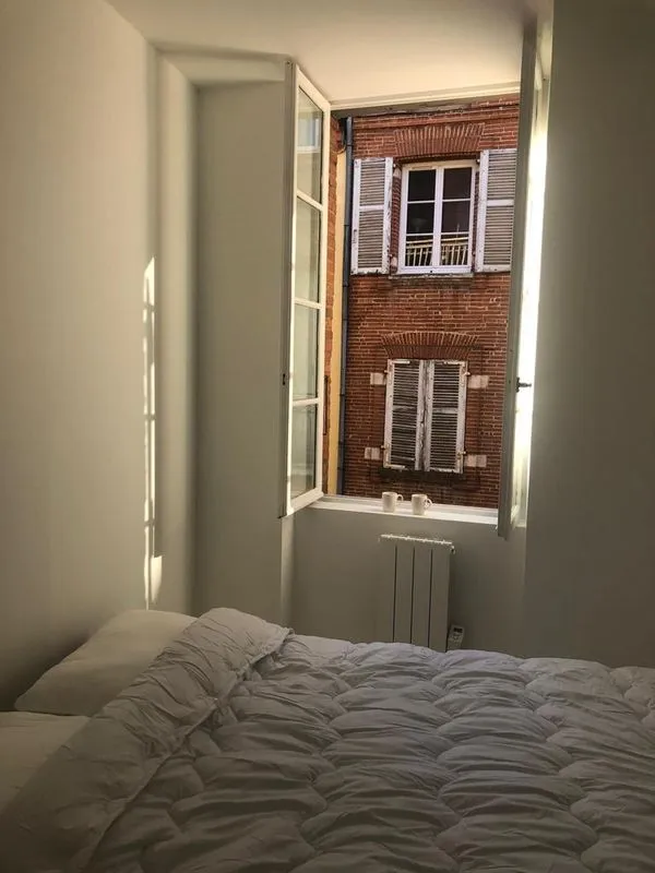 Location Toulouse Appartement 68246eab38652