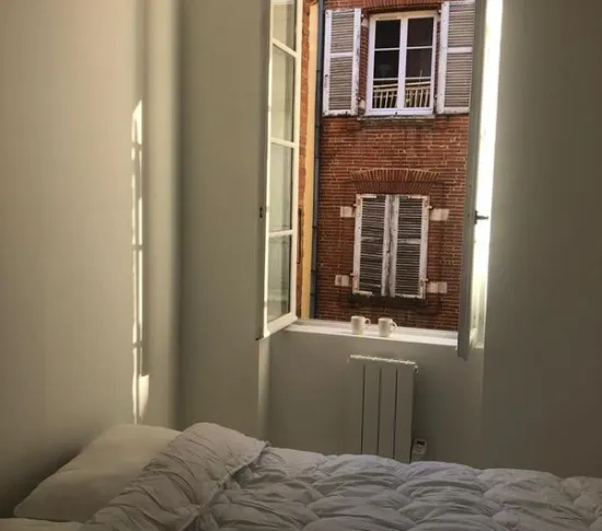 Location Toulouse Appartement 68246eab38652