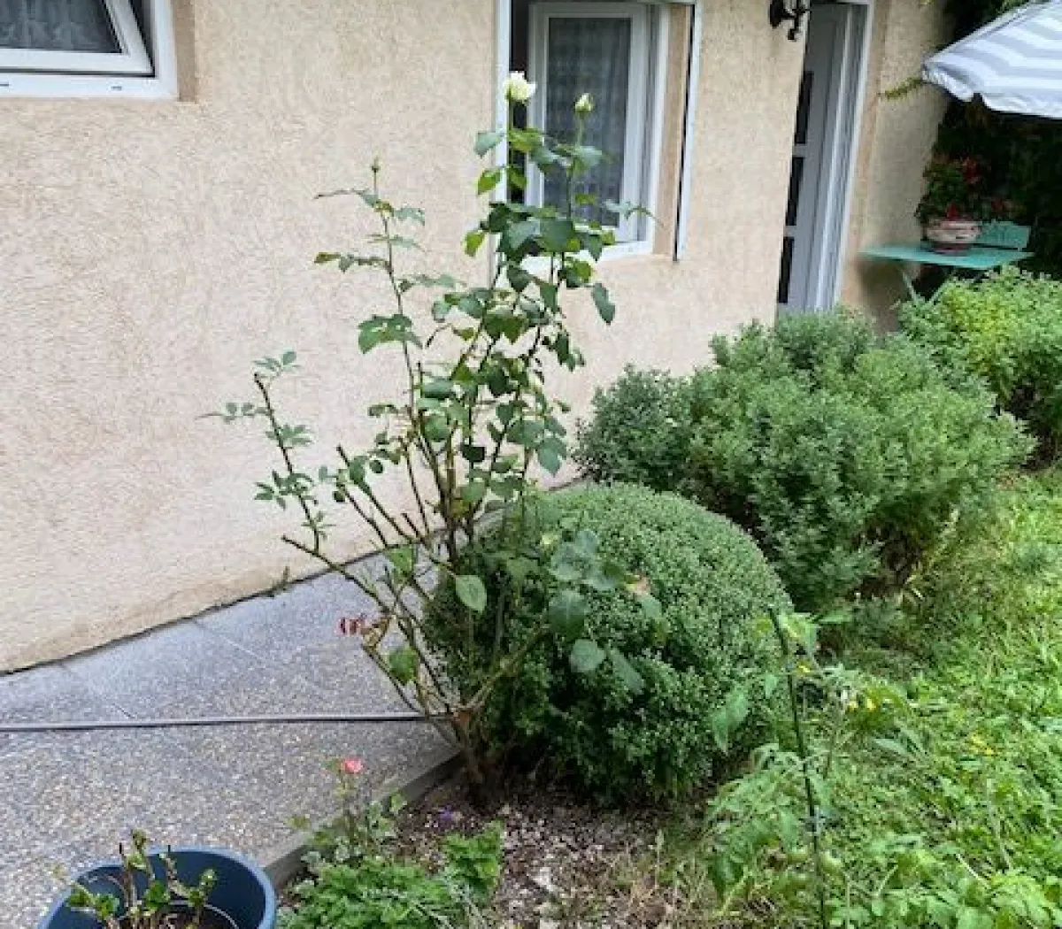 Location Gennevilliers Maison 6825c704598f