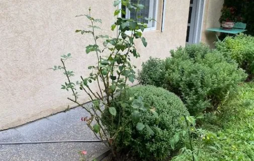 Location Gennevilliers Maison 6825c704598f