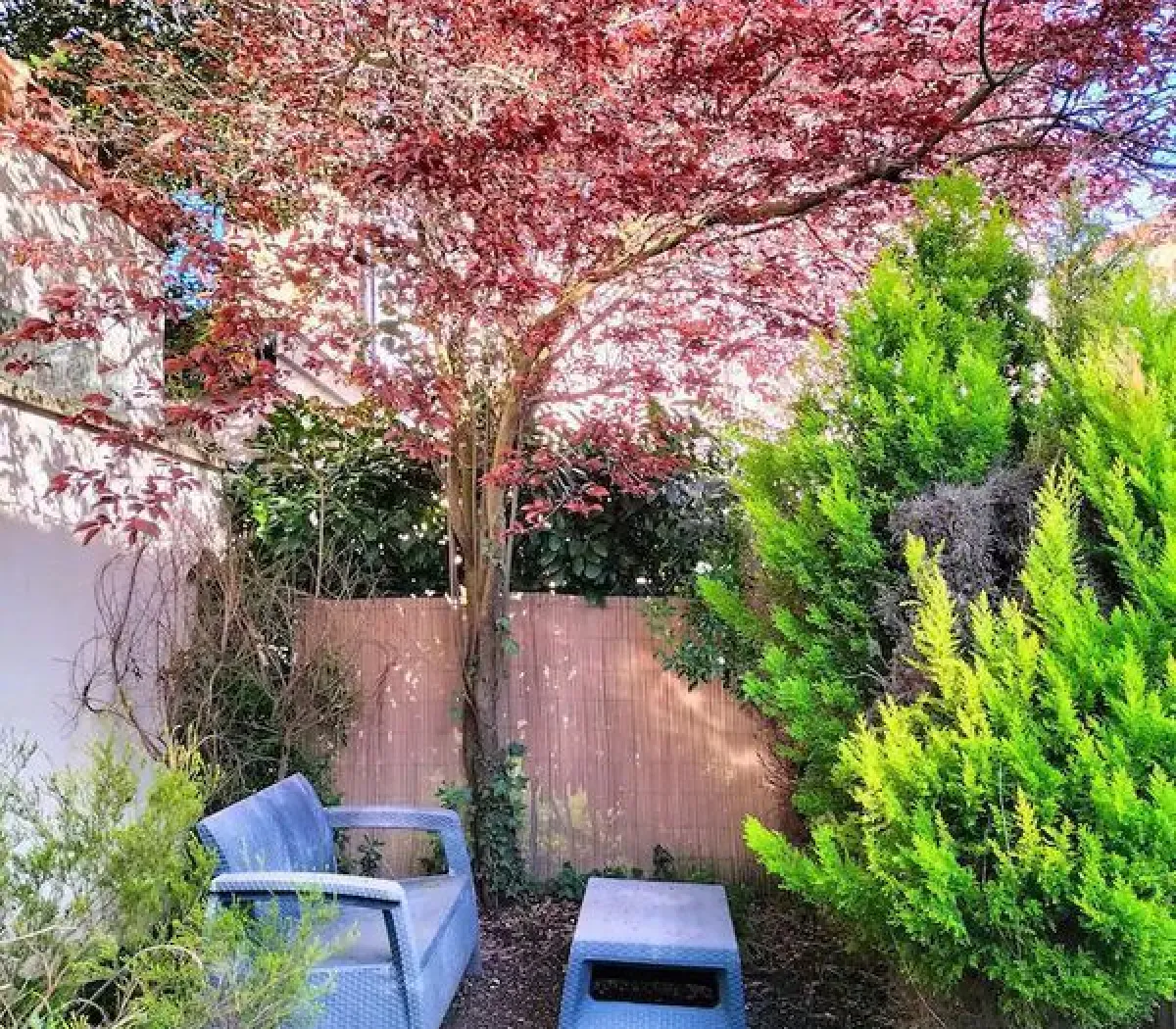 Location Saint-Leu-la-Forêt Maison 6825e1554be1