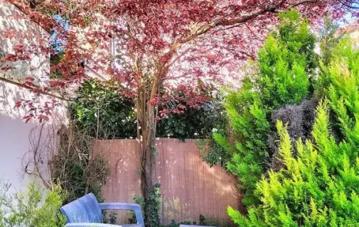 Location Saint-Leu-la-Forêt Maison 6825e1554be1