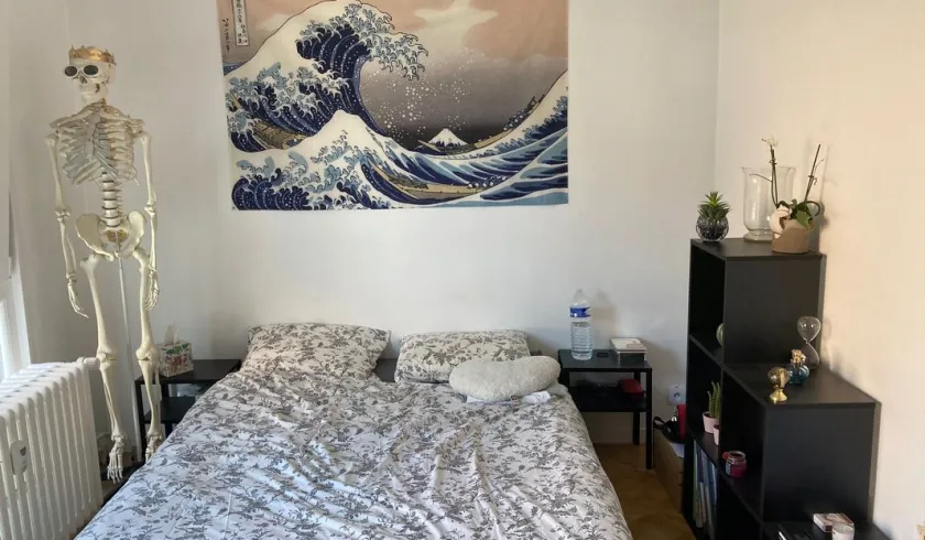 Location Strasbourg Appartement 6825e510eeae1