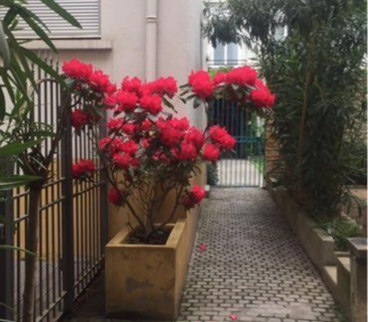 Location Lyon Appartement 682b05e88095