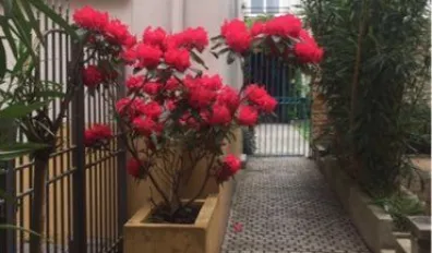 miniatureLocation Lyon Appartement 682b05e880952