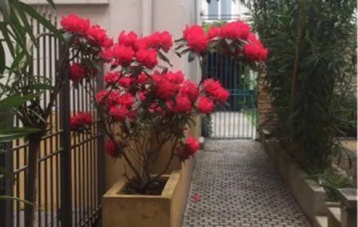 Location Lyon Appartement 682b05e88095