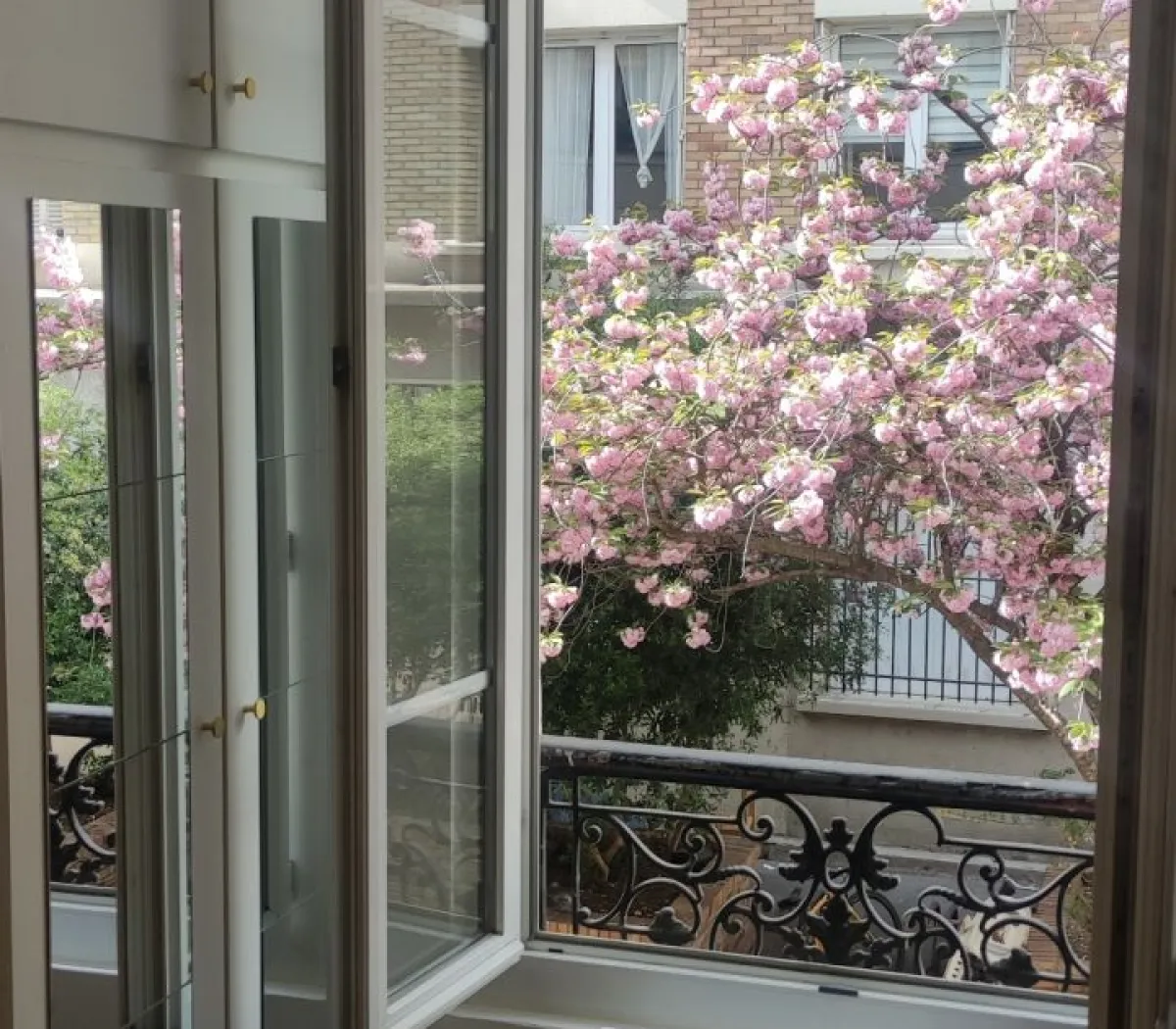 Location Paris Appartement 682b1d2876f9