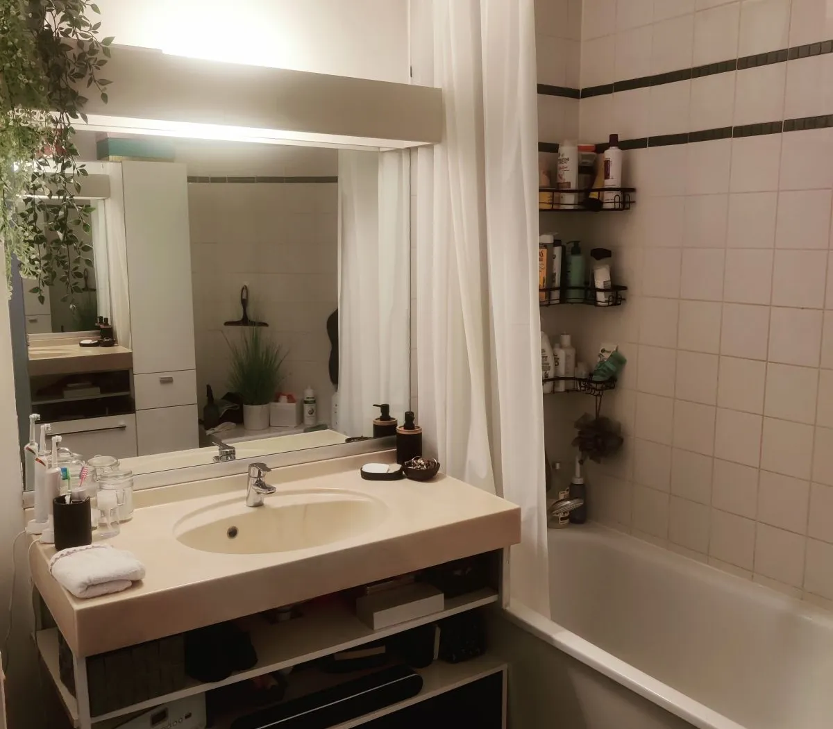 Location Reims Appartement 682b2baccc73