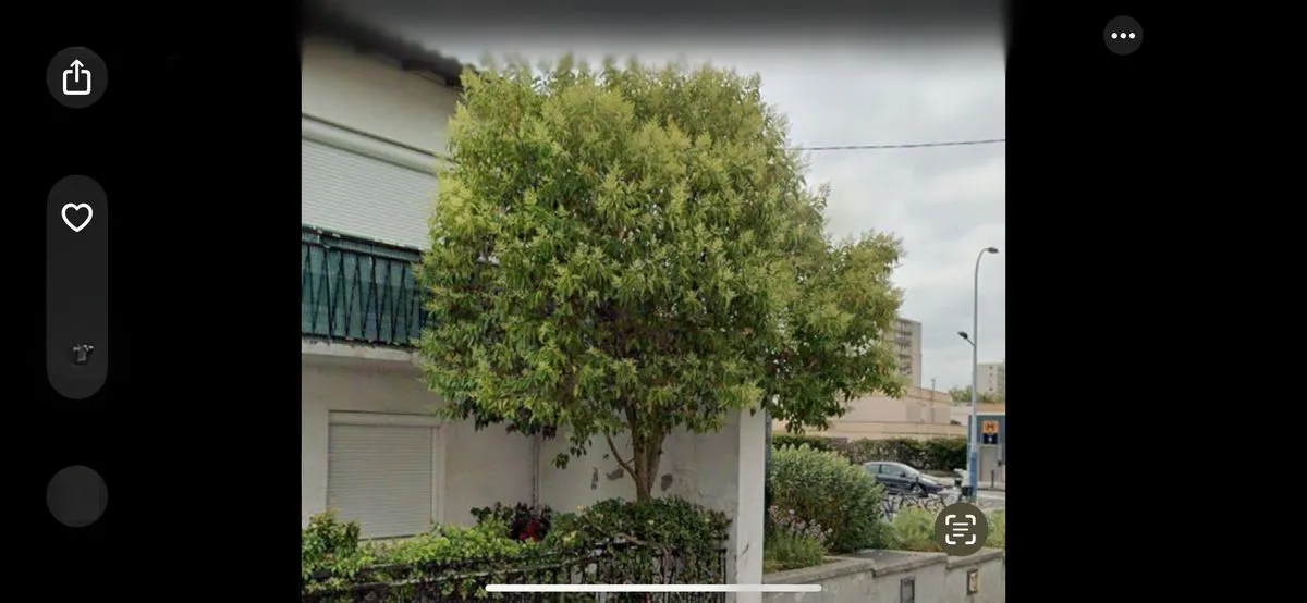 Location Toulouse Appartement 682b387831531