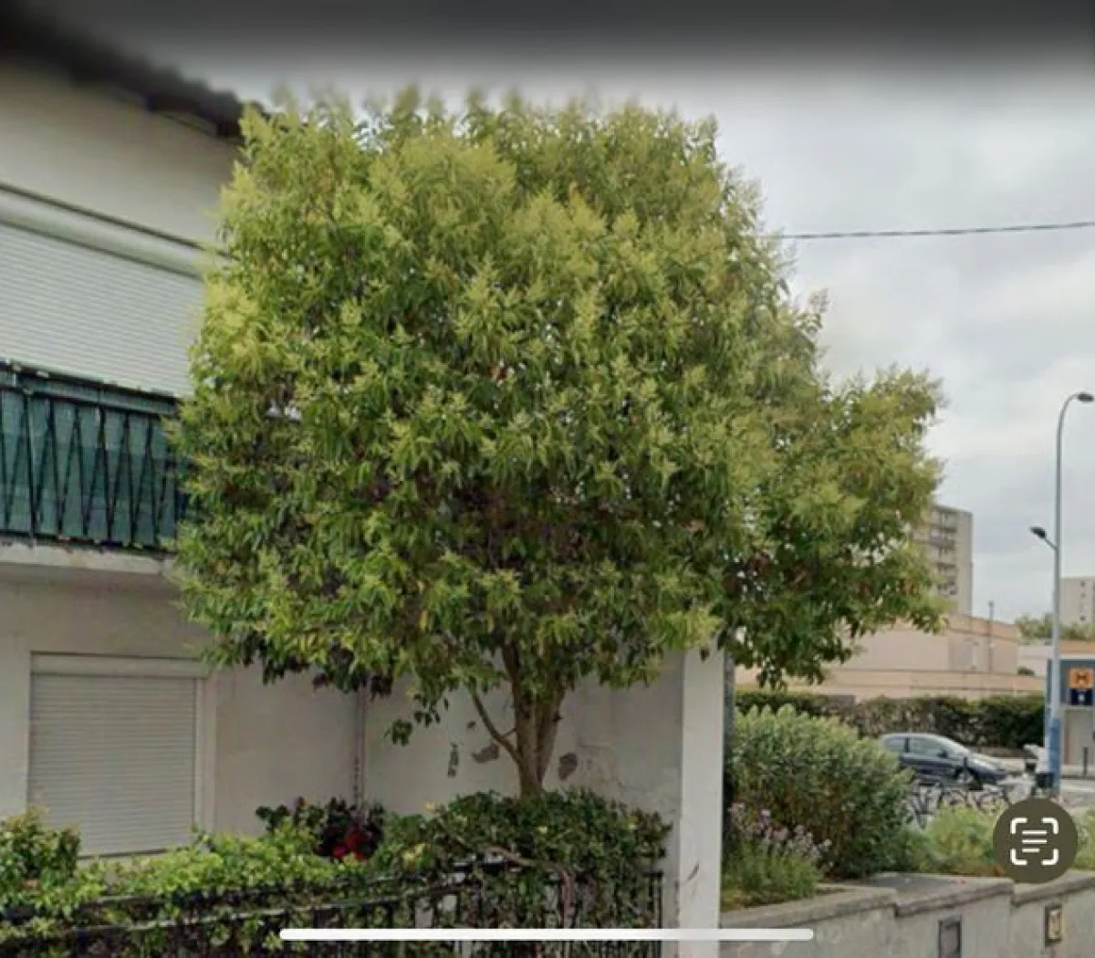 Location Toulouse Appartement 682b38783153