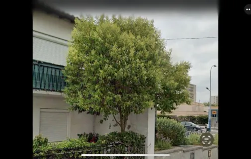 Location Toulouse Appartement 682b38783153