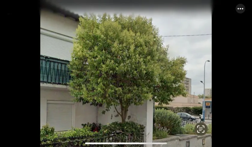 Location Toulouse Appartement 682b387831531