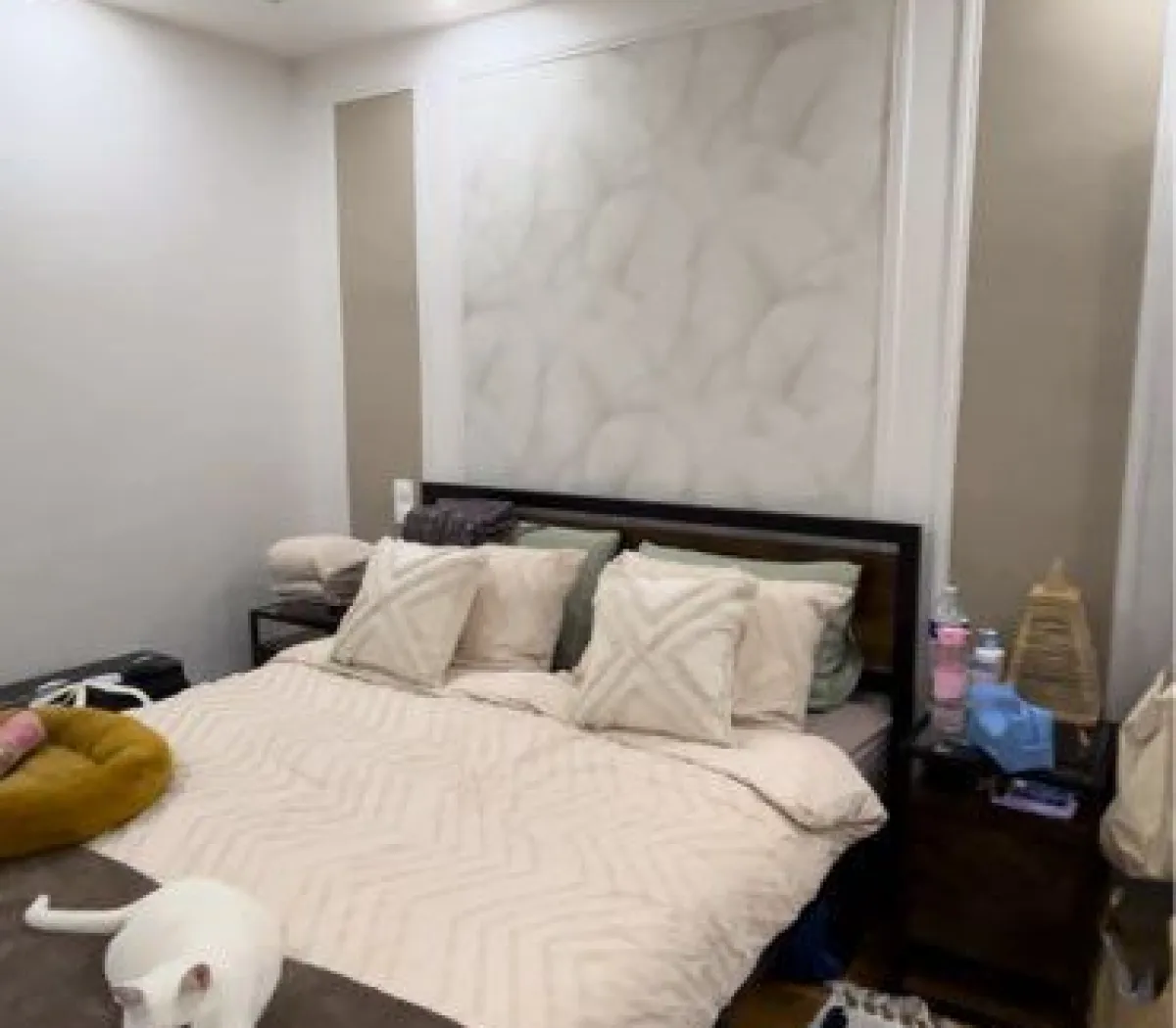 Location Colombes Appartement 682c51227afd