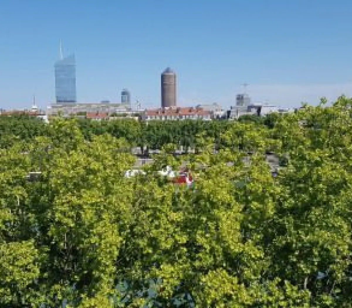 Location Lyon Appartement 682c5d19f2eb