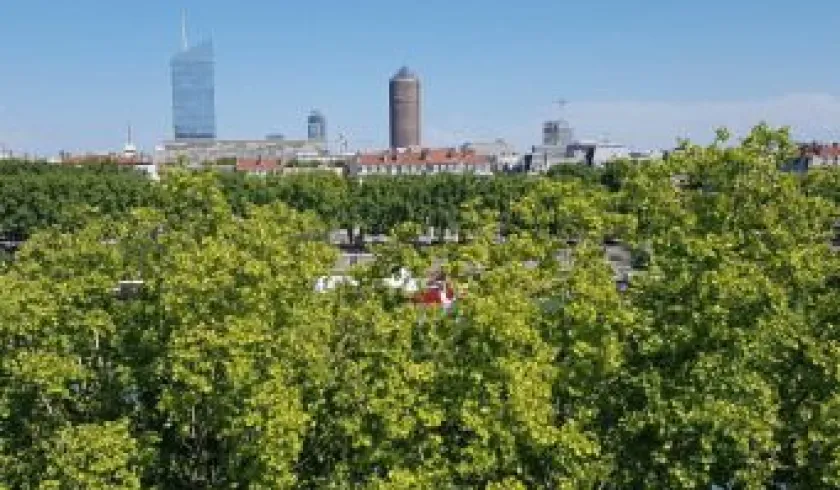 Location Lyon Appartement 682c5d19f2eb1