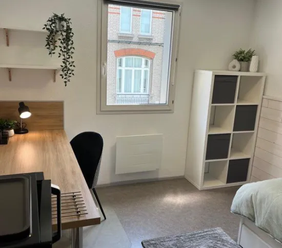 Location Lille Appartement 682dd211a8772