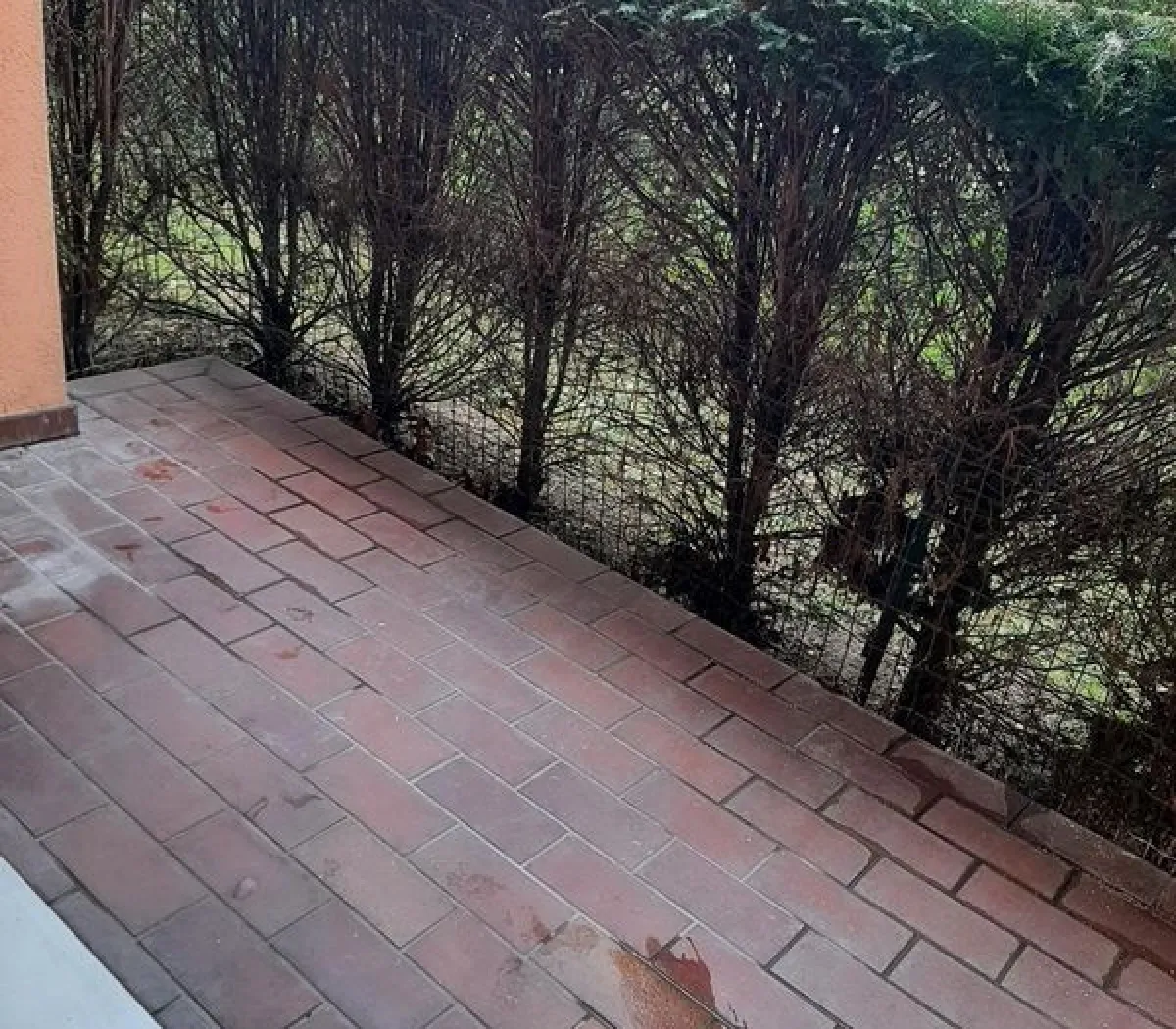 Location Strasbourg Appartement 6830461562a7