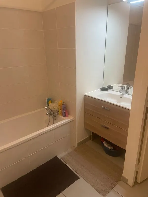 Location Villeurbanne Appartement 68358861d4403