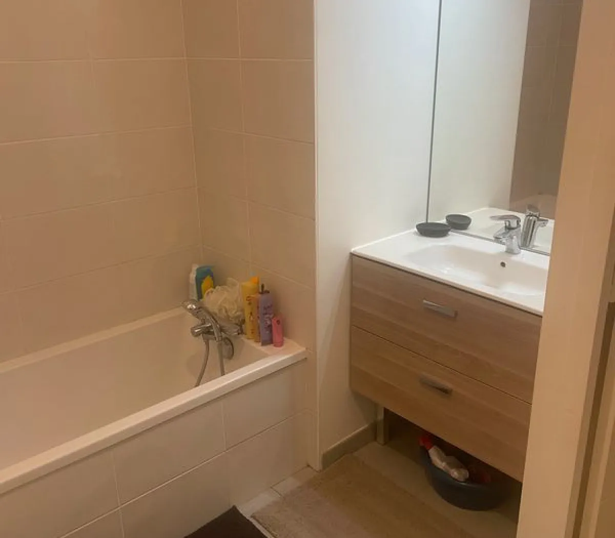 Location Villeurbanne Appartement 68358861d440