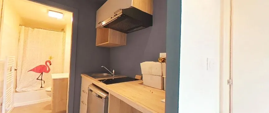 Location Strasbourg Appartement 6836db238a113