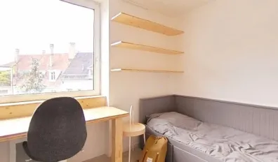 miniatureLocation Strasbourg Appartement 6836db238a112