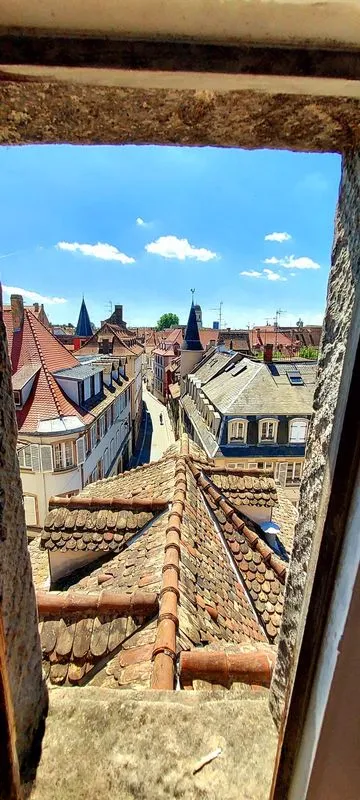Location Strasbourg Appartement 6836dce950b53