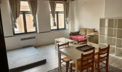 miniatureLocation Lille Appartement 683d9d70748d2