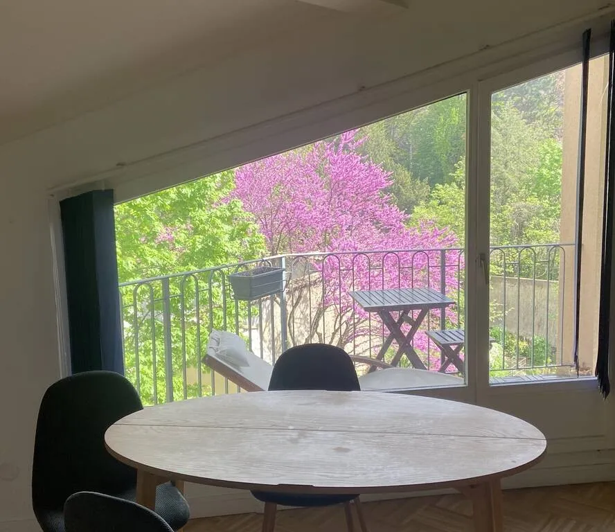 Location Lyon Appartement 683d9f4a9bb22