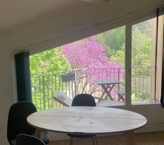 Location Lyon Appartement 683d9f4a9bb22