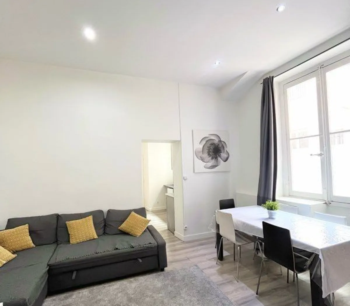 Location Lyon Appartement 683da8046efe