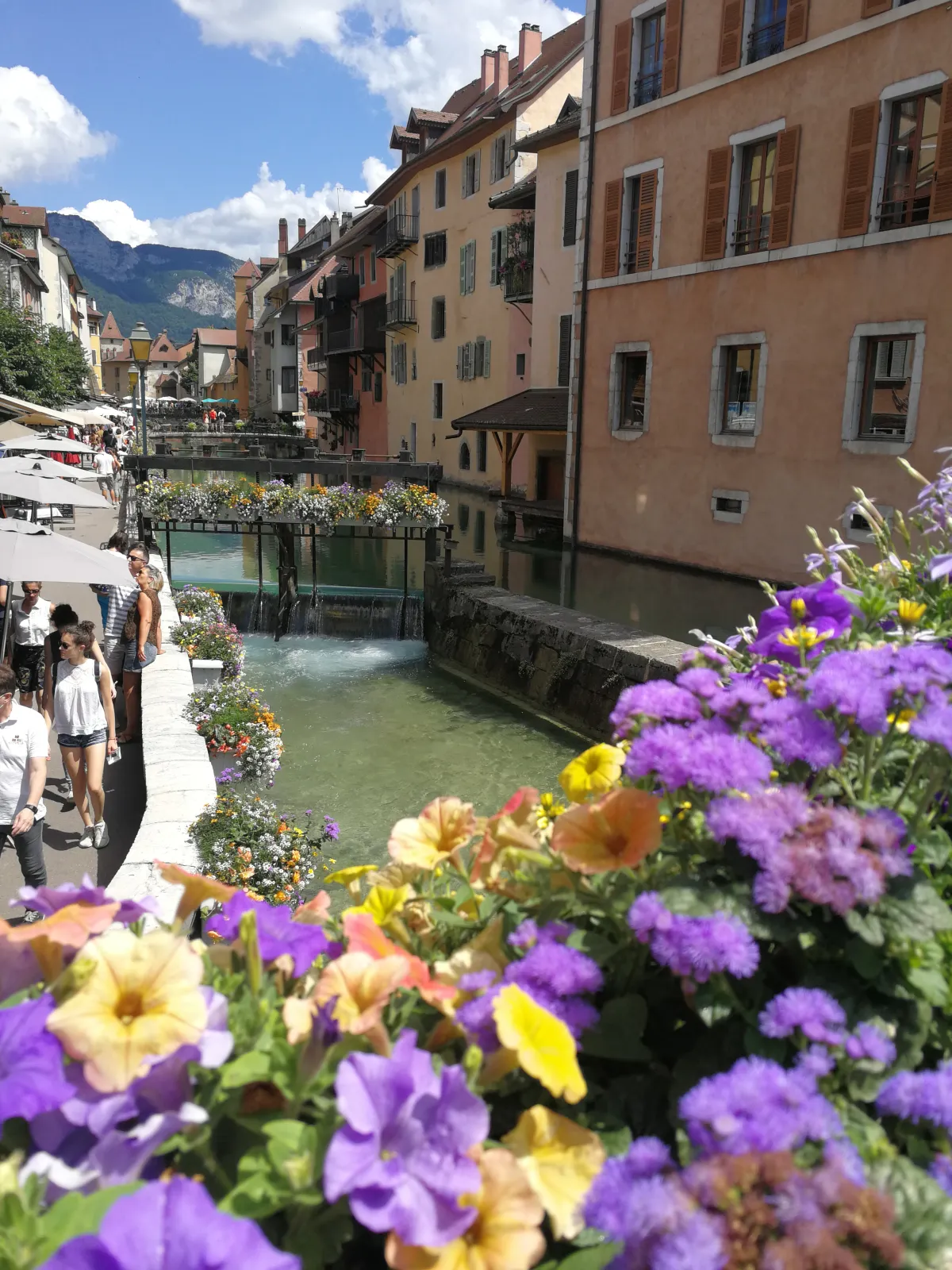 Location Annecy Appartement 683eb4918dcc5