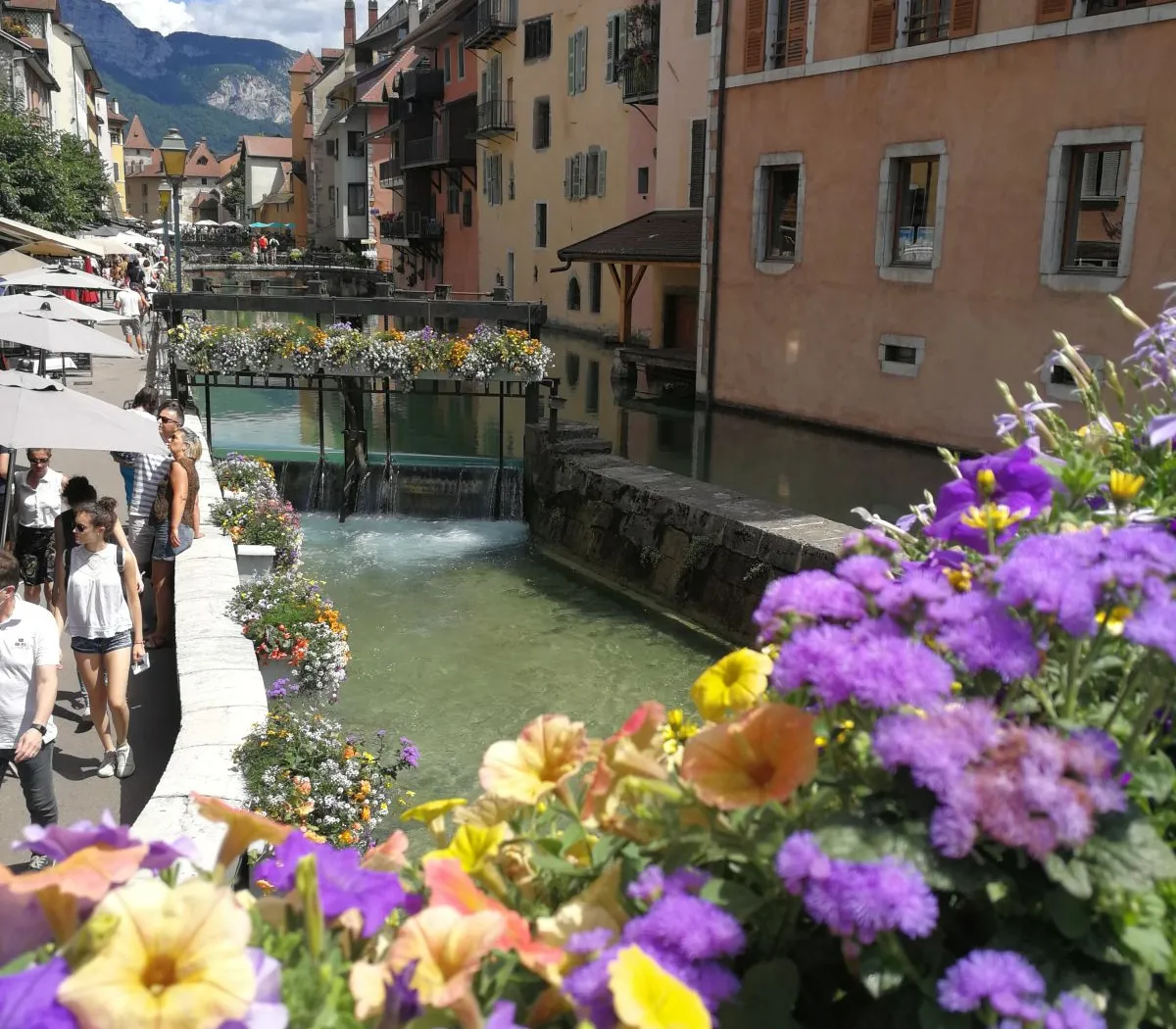 Location Annecy Appartement 683eb4918dcc