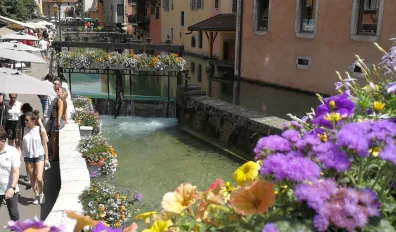 miniatureLocation Annecy Appartement 683eb4918dcc2