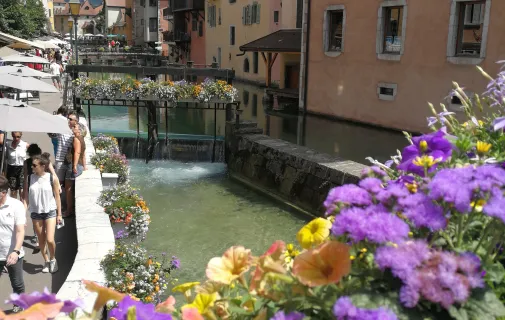 Location Annecy Appartement 683eb4918dcc