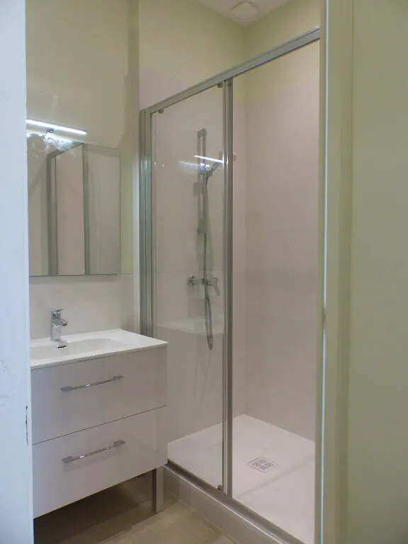 Location Lyon Appartement 6841844350184
