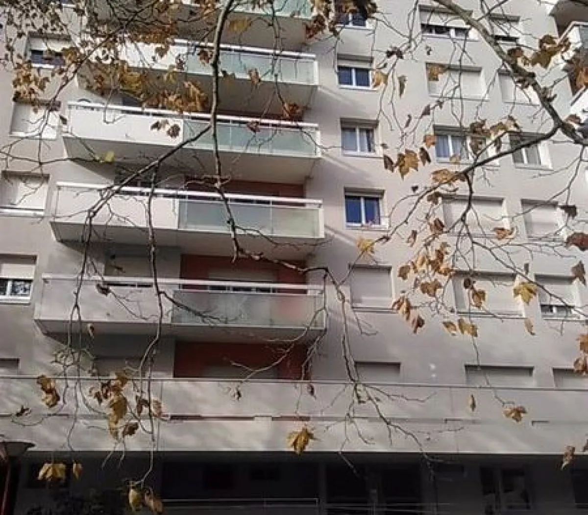 Location Villeurbanne Appartement 6842bc869352