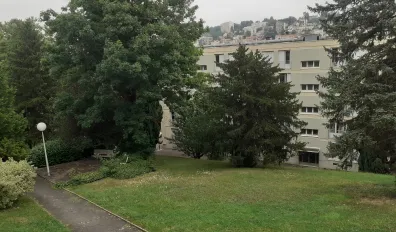 Location Saint-Étienne Appartement 6842e68fd6c0