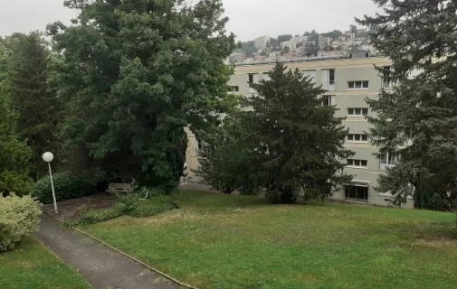Location Saint-Étienne Appartement 6842e68fd6c0