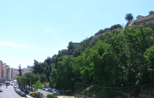 Location Nice Appartement 6842f7fc5e34