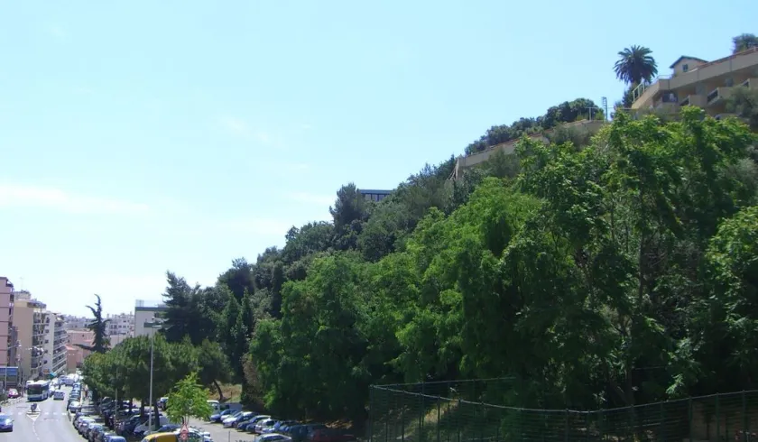 Location Nice Appartement 6842f7fc5e341