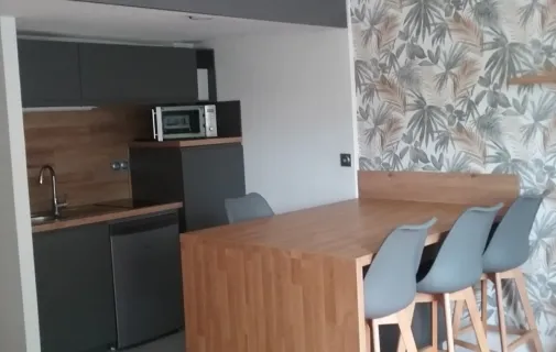 Location Saint-Étienne Appartement 68442de004e5