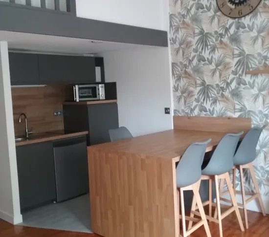 Location Saint-Étienne Appartement 68442de004e53