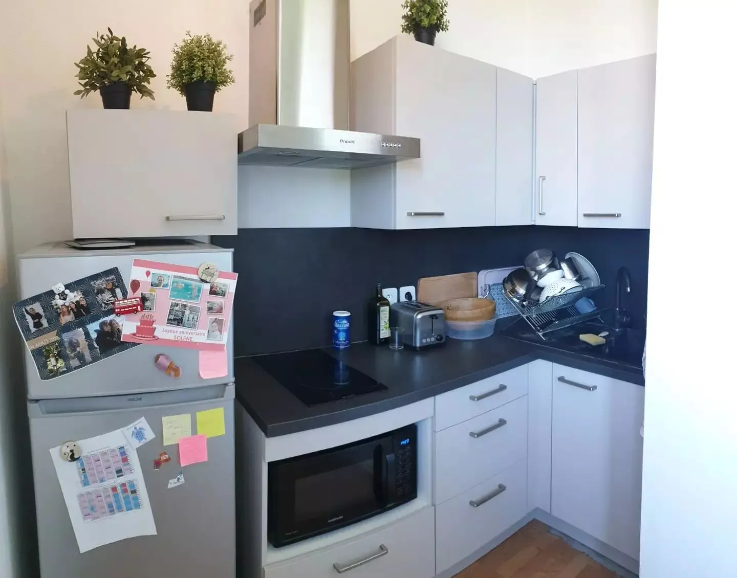 Location Toulouse Appartement 684697c299b7