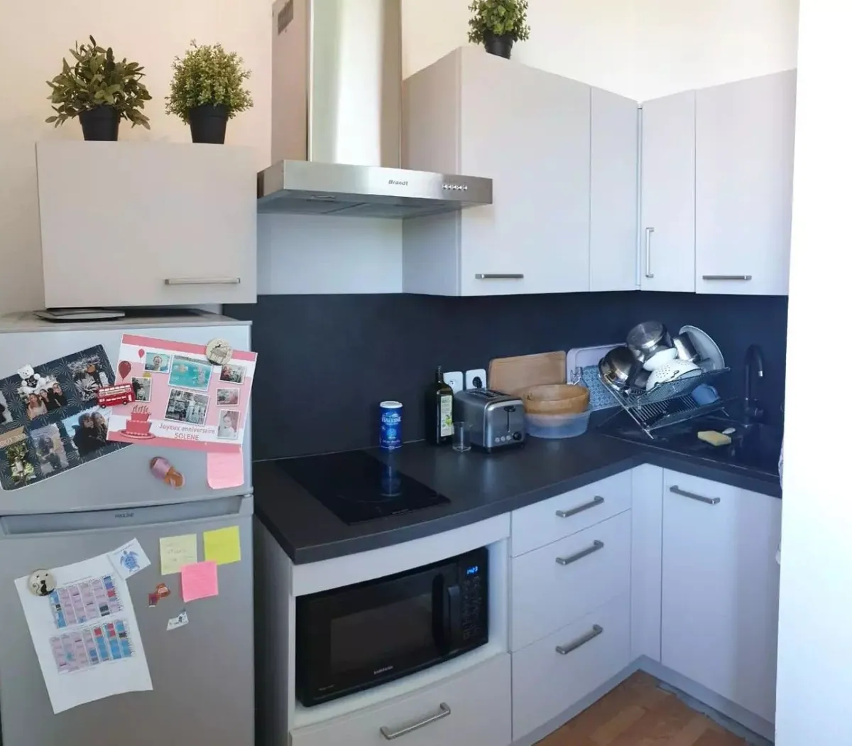 Location Toulouse Appartement 684697c299b7