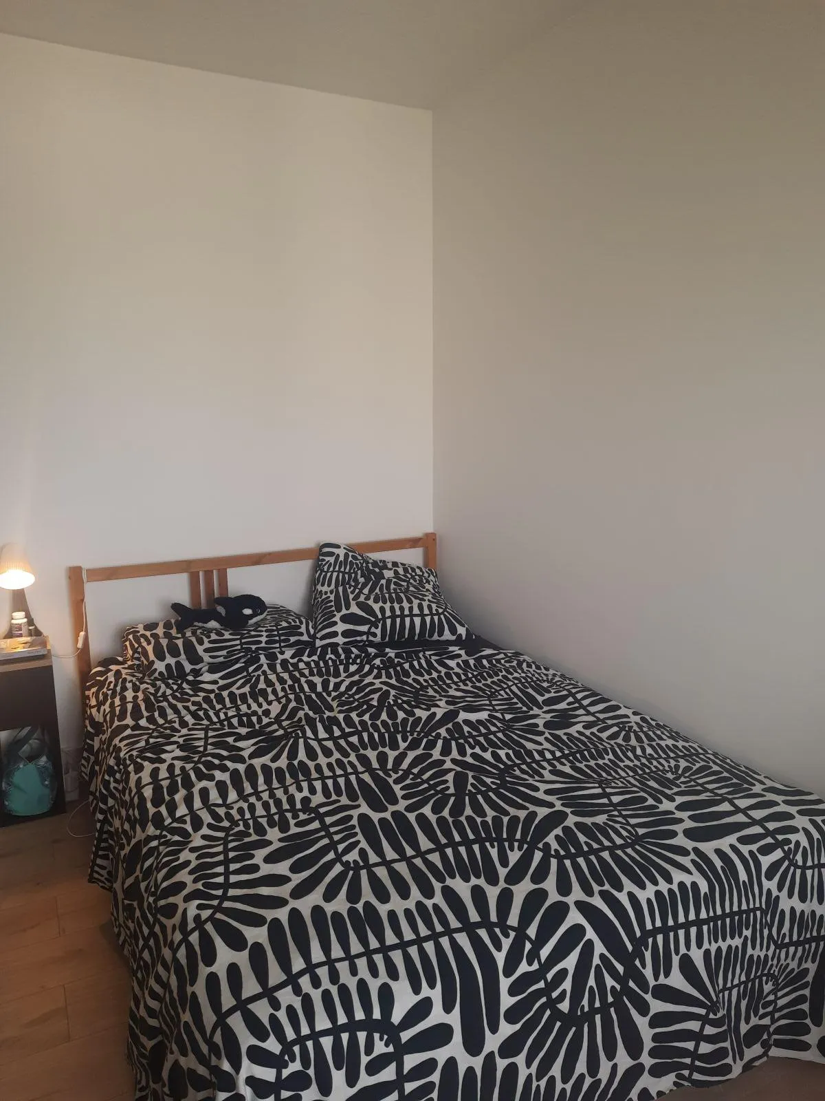 Location Talence Appartement 6847046389823