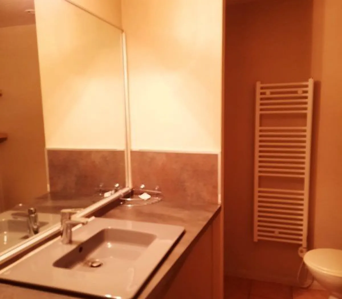 Location Toulouse Appartement 684959da2fc0