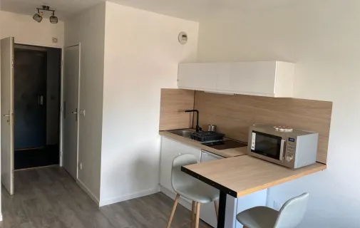 Location Lyon Appartement 684aab382718