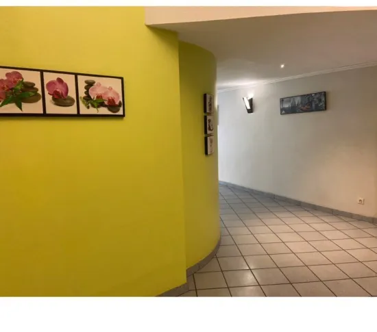 Location Lyon Appartement 684be8e8efd02