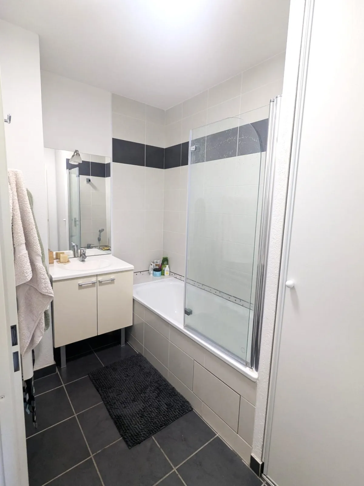 Location Toulouse Appartement 684ef4eb85a55