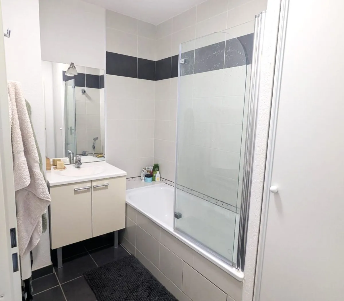 Location Toulouse Appartement 684ef4eb85a5